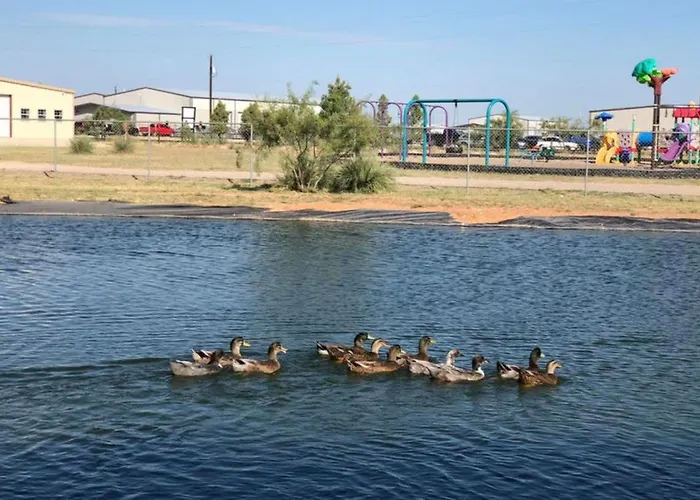 Mesquite Oasis Lodging